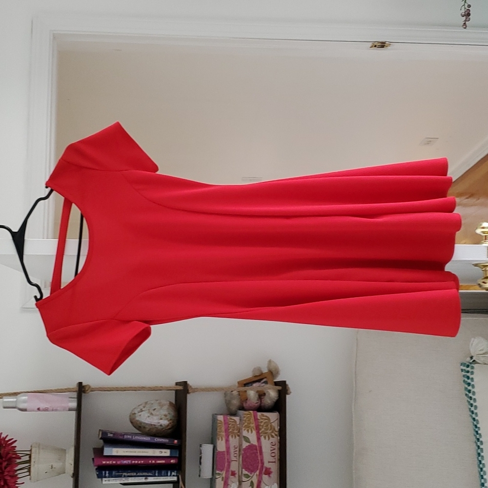 Little Red Dress
